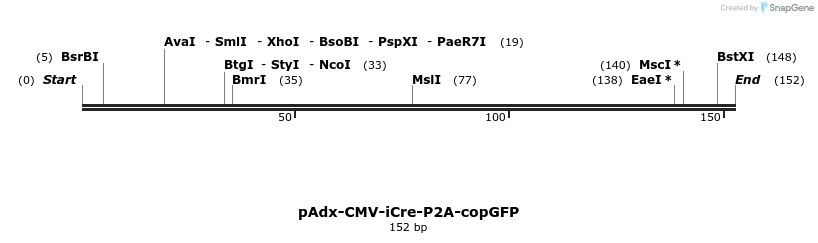 138083_map