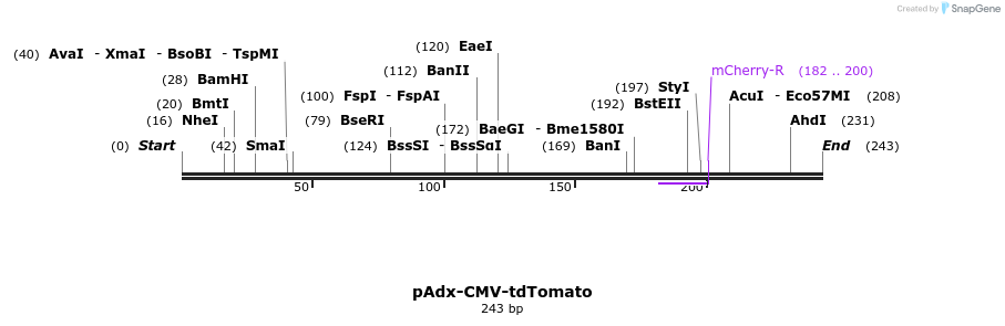 138087_map