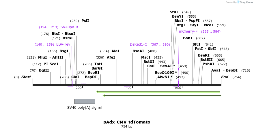 138090_map