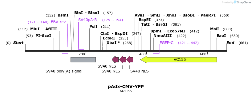 138093_map