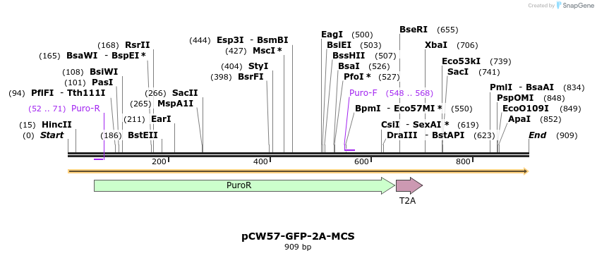 138096_map