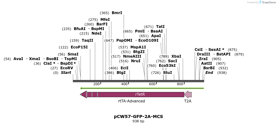 138097_map