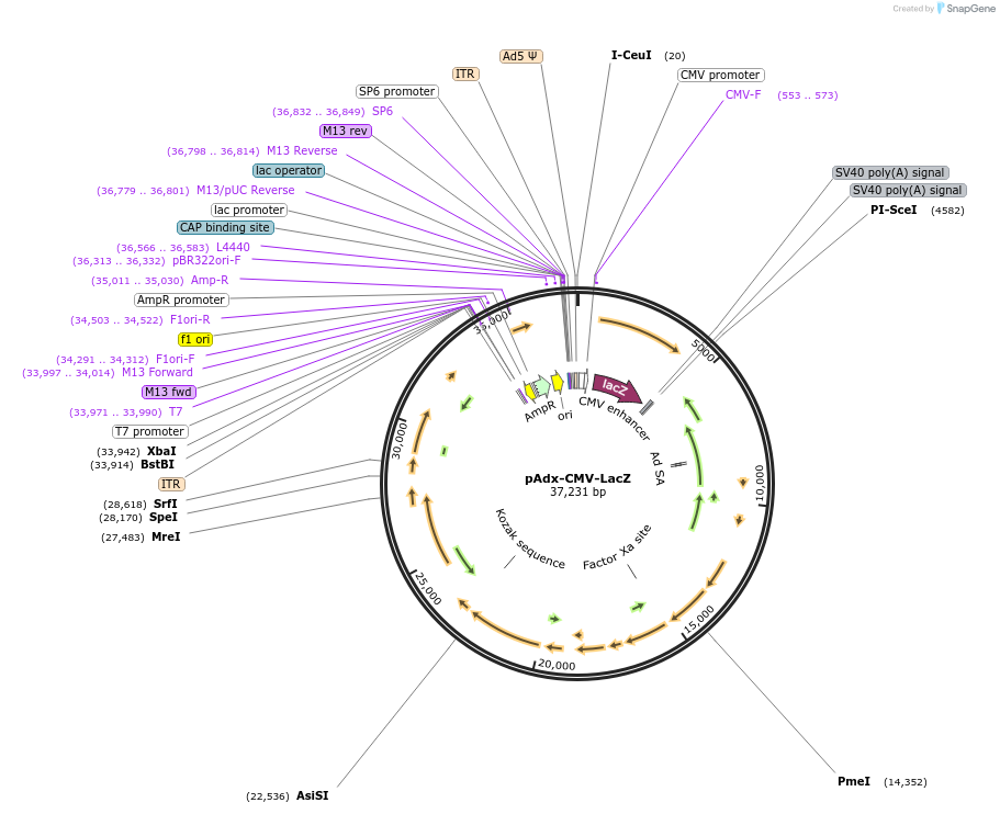 138098_map