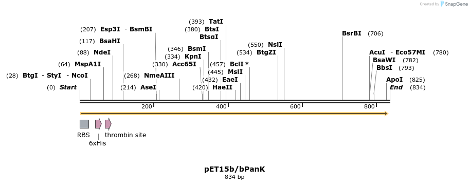 138100_map