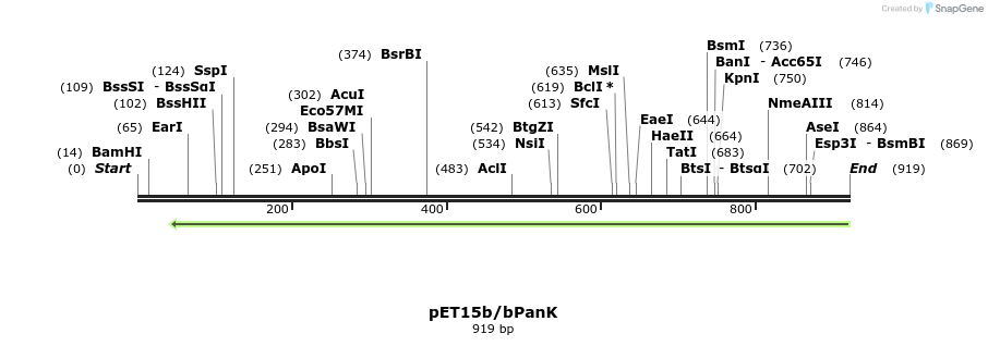 138101_map
