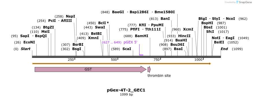 138102_map
