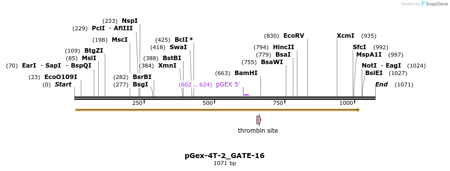 138103_map