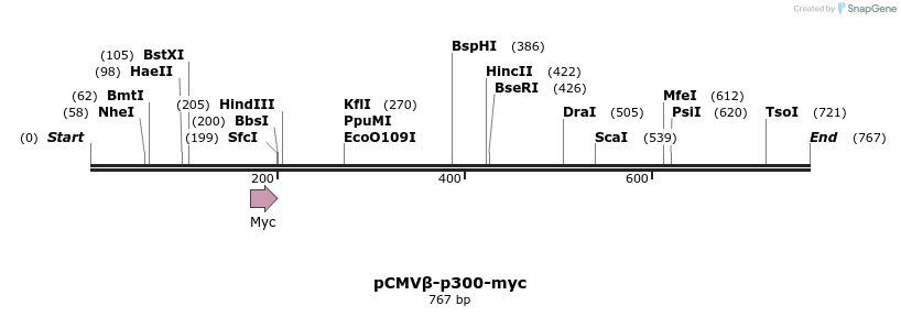 138104_map