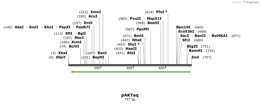 138105_map