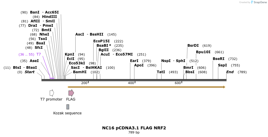 138109_map