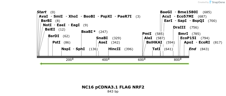 138110_map