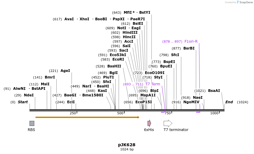138111_map
