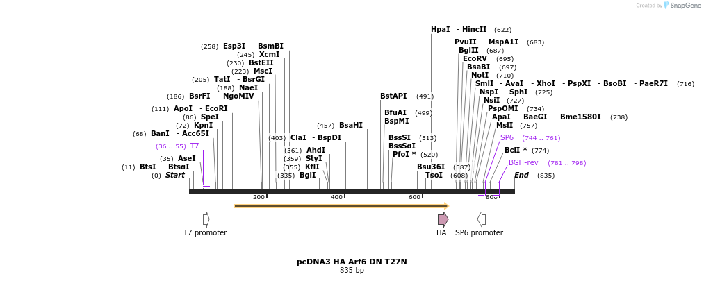 138113_map