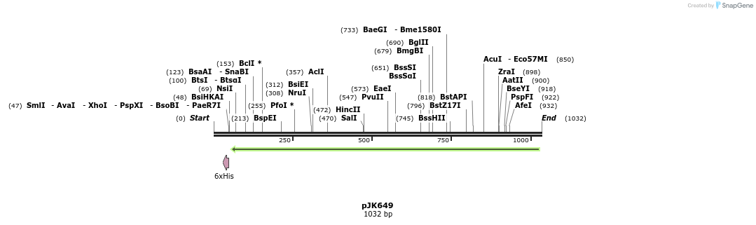 138115_map