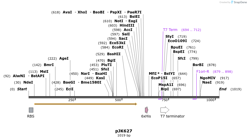 138116_map