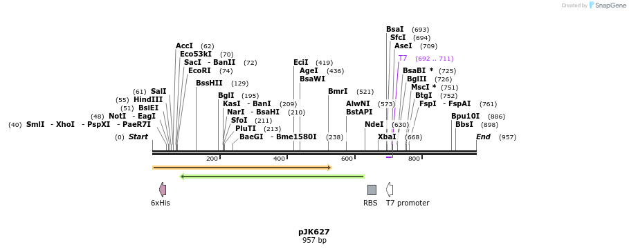 138117_map