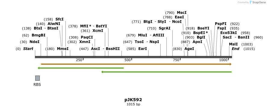 138118_map