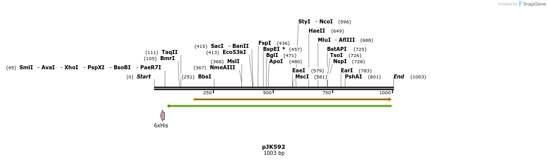 138119_map