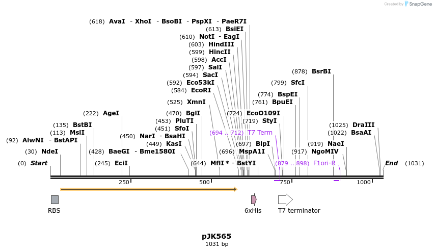 138120_map