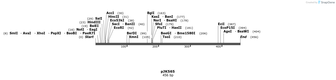 138121_map