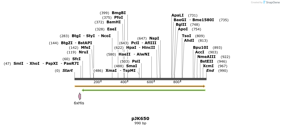 138123_map
