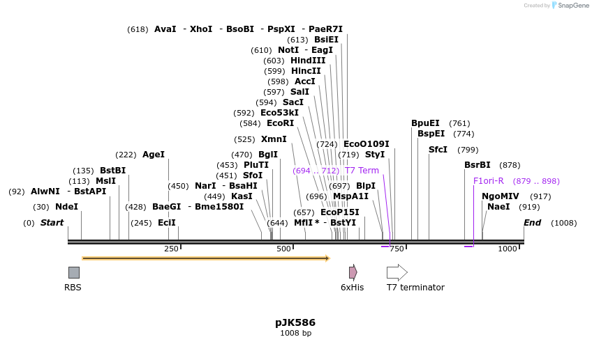 138124_map