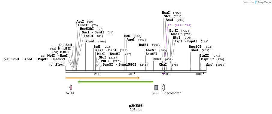 138125_map