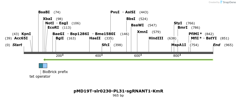 138126_map