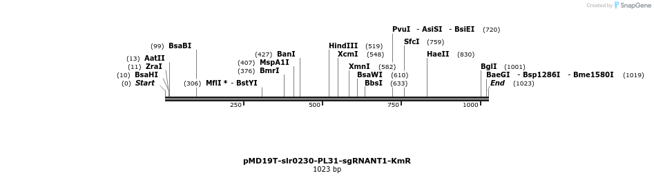 138129_map