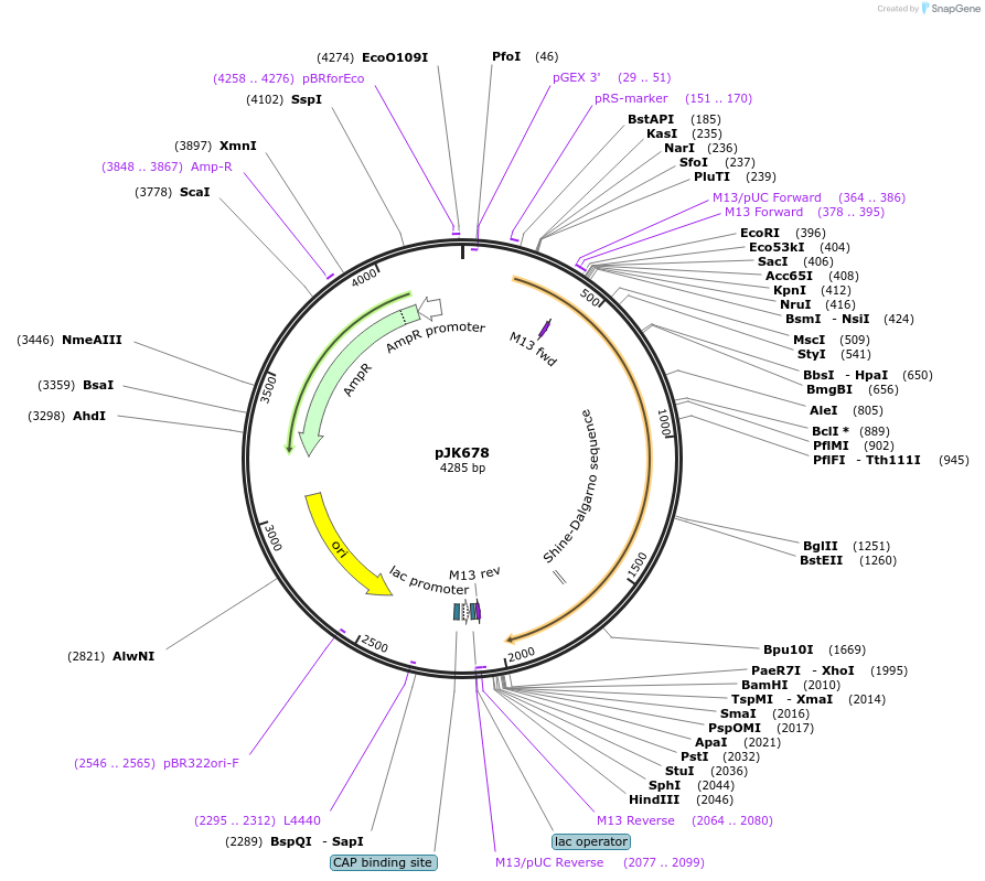 72376-plasmid-map-sequence-id-138130