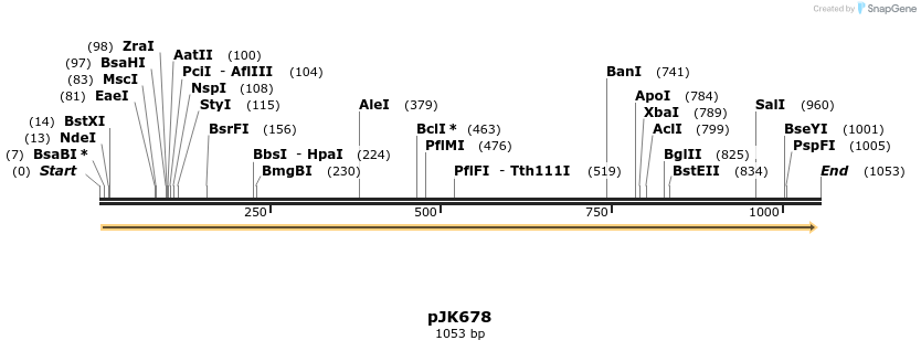 138131_map
