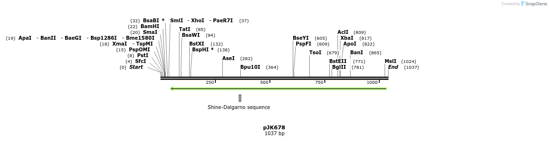 138132_map