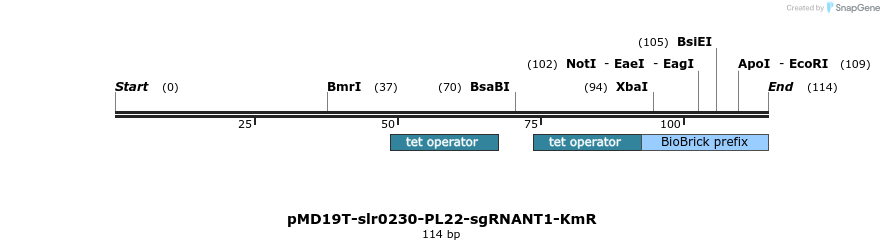 138133_map
