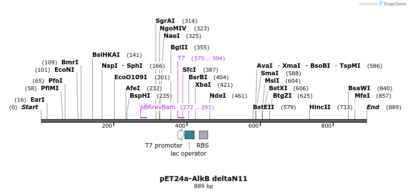 138141_map
