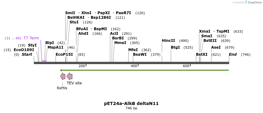 138142_map
