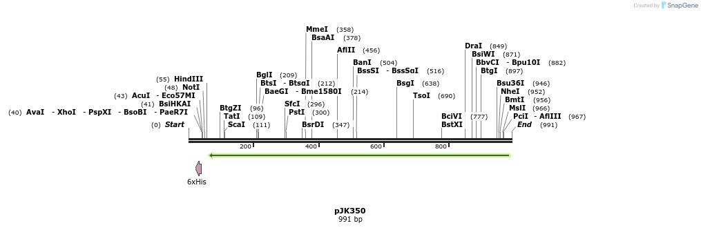 138151_map