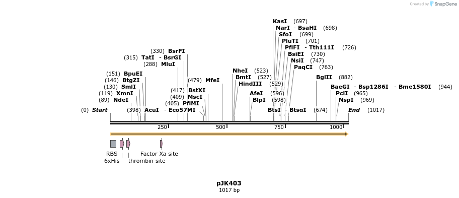 138152_map