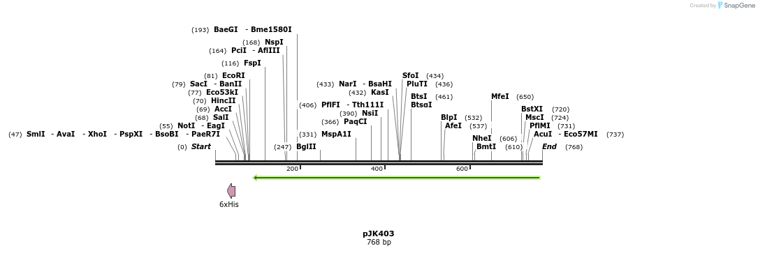 138153_map