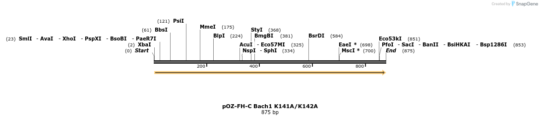 138154_map