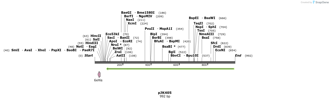 138169_map