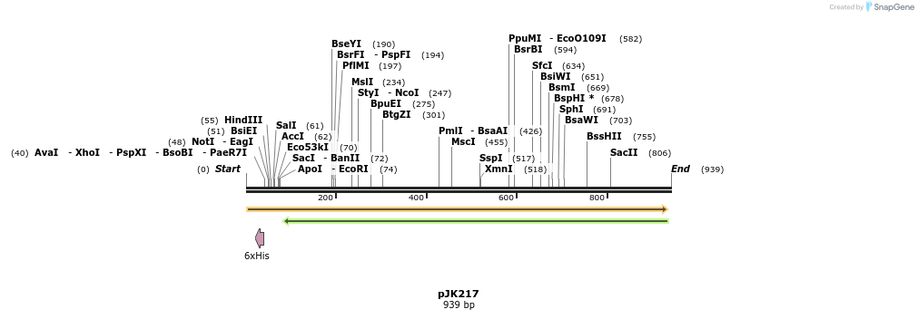 138171_map
