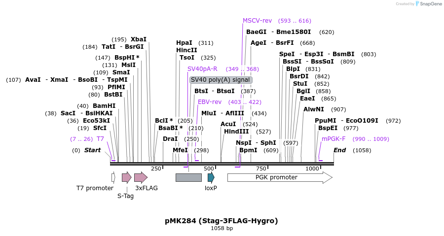 138172_map