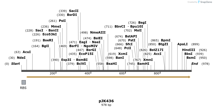 138173_map