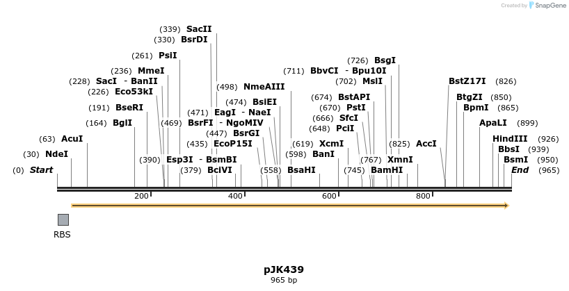 138176_map