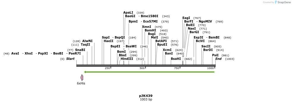 138177_map
