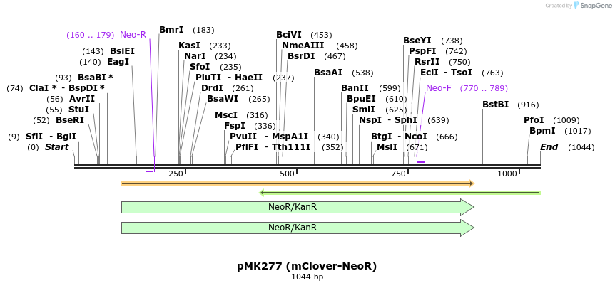 138179_map