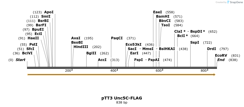 138187_map