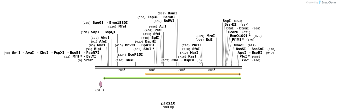 138189_map