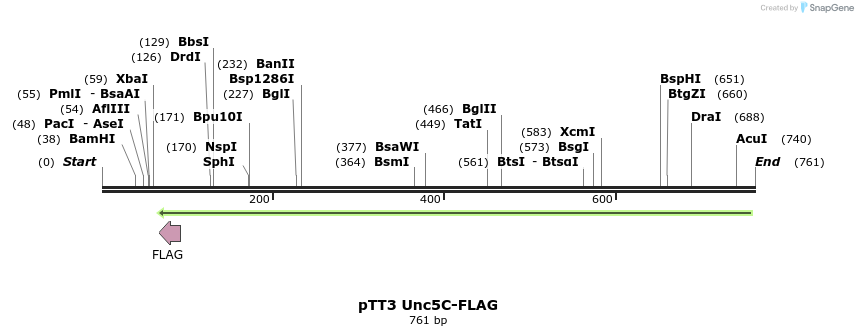138191_map
