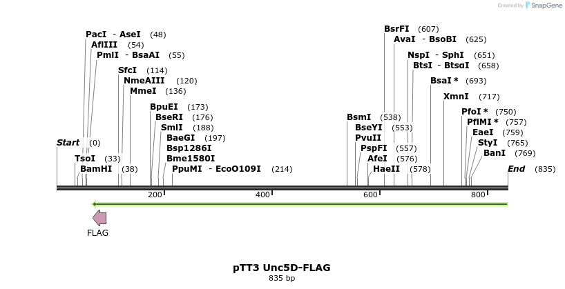 138196_map